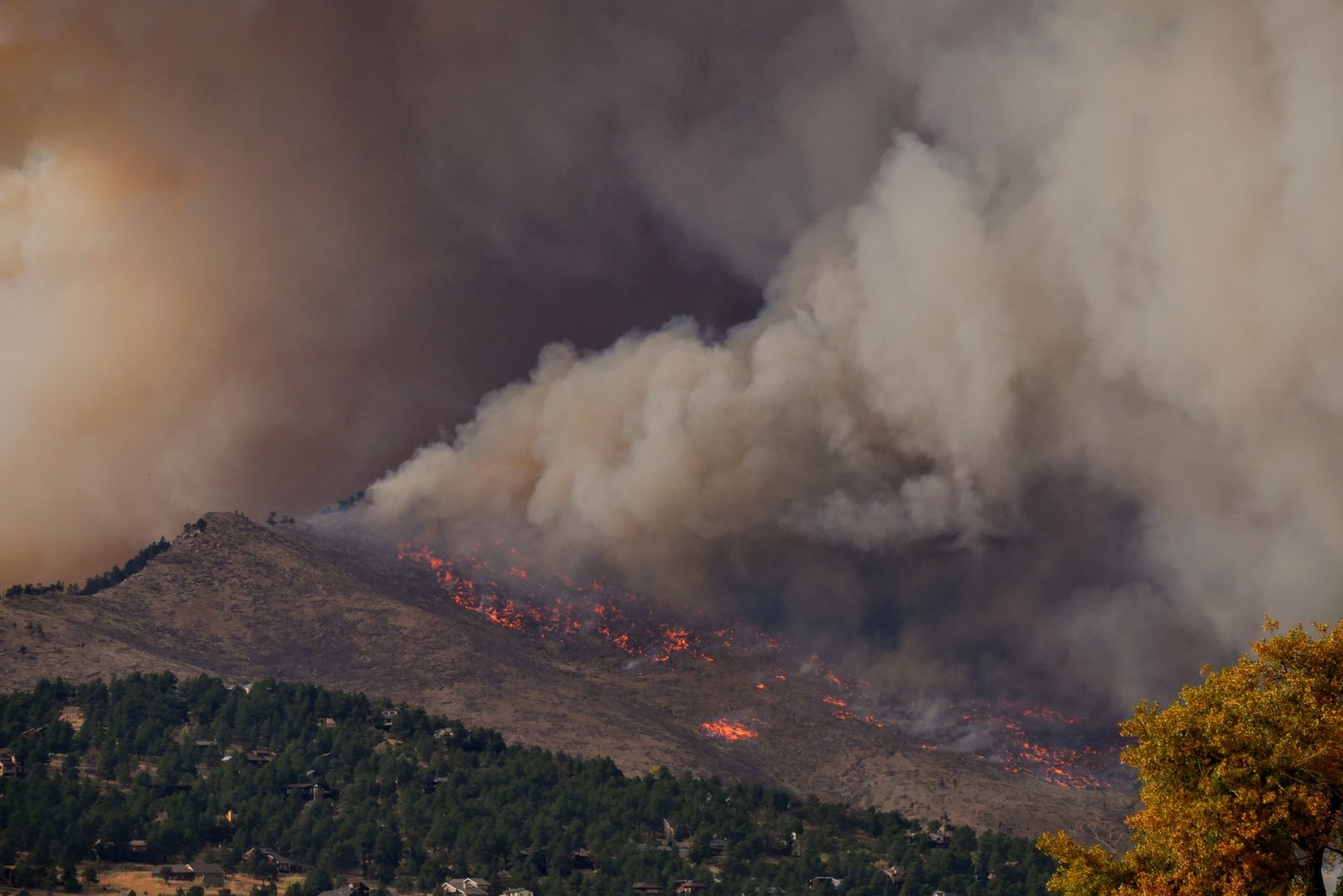 World On Fire: New Innovations to Help Deal With the Wildfire Crisis