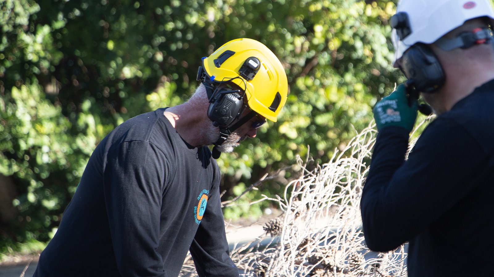 Forestry workers using Comm-Set