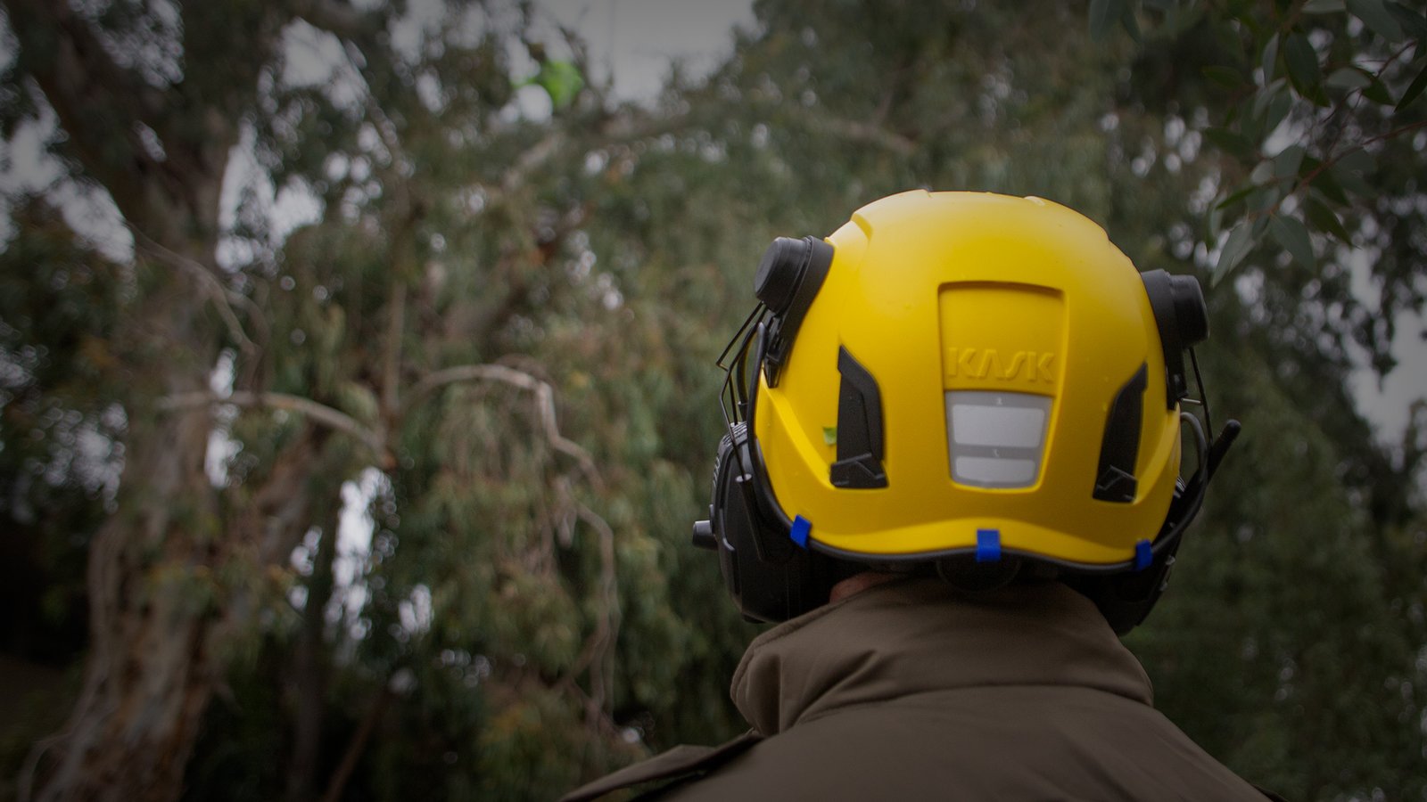 Advanced Wearable Comm Systems Increase Arborist Productivity, Save Lives