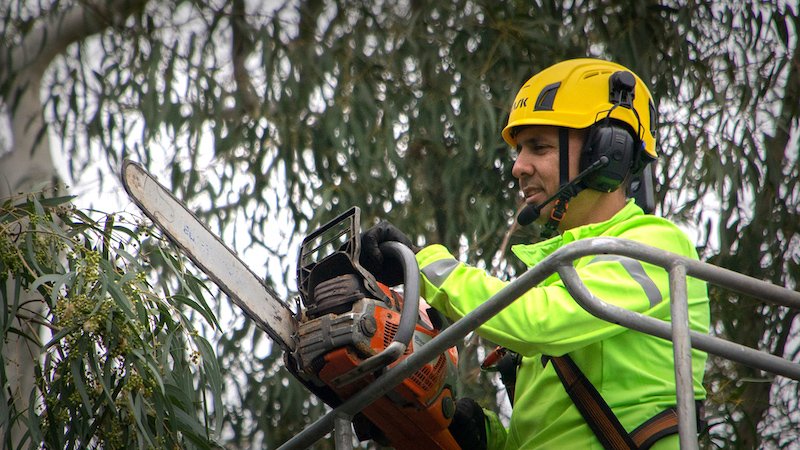 Advanced wearable comm systems increase arborist productivity, safety
